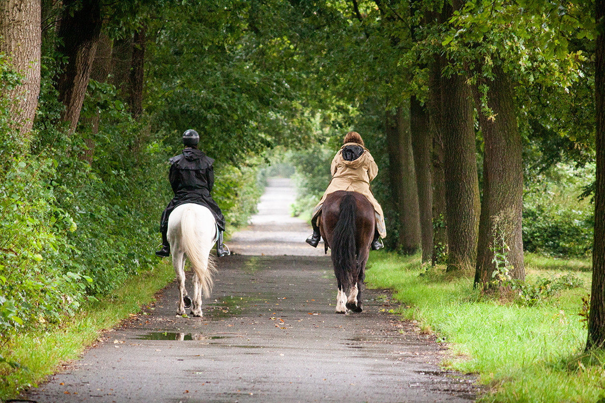 bettina-bruns-und-karen-duve_huelshoff-allee_-c-_kirstin-kassen