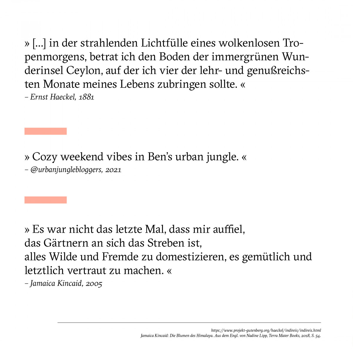 cfl-2022-gegenwartserde-socialmedia-23